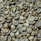 Grano de Café verde Café SInapsis
