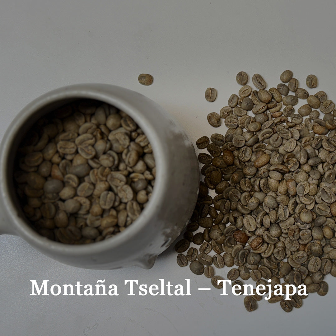 Granos de café y taza Café Sinapsis