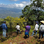 Montaña Viva – El Mirador
