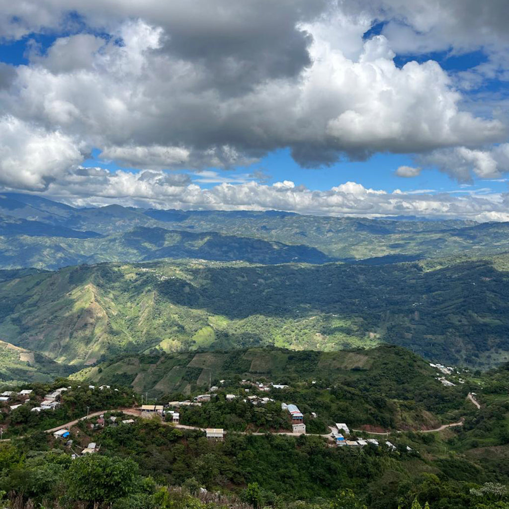 Montaña Viva – El Mirador