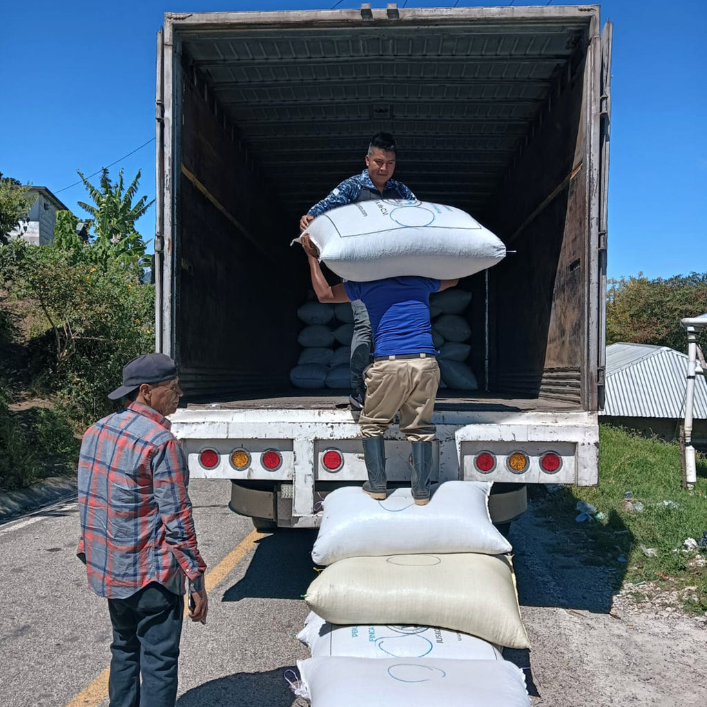 Montaña Tseltal – Tenejapa