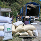 Montaña Tseltal – Tenejapa