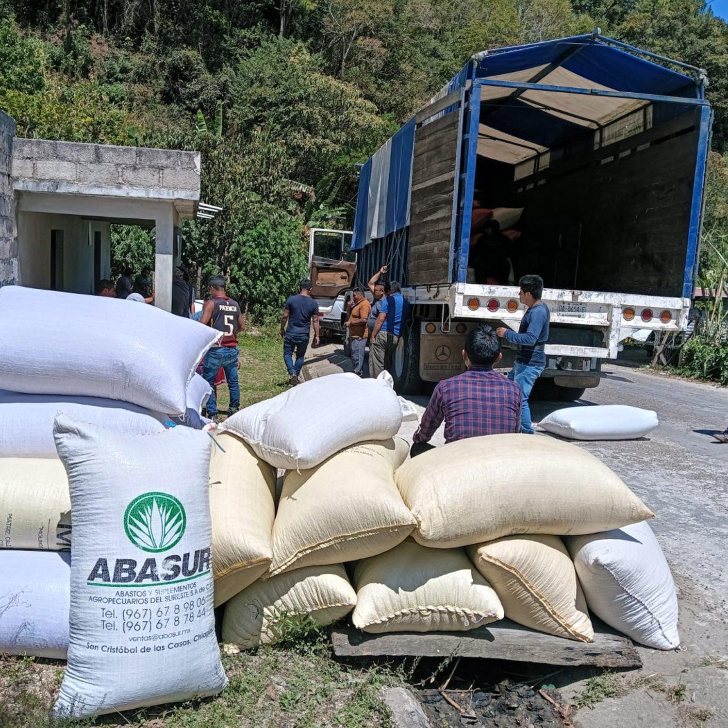 Montaña Tseltal – Tenejapa