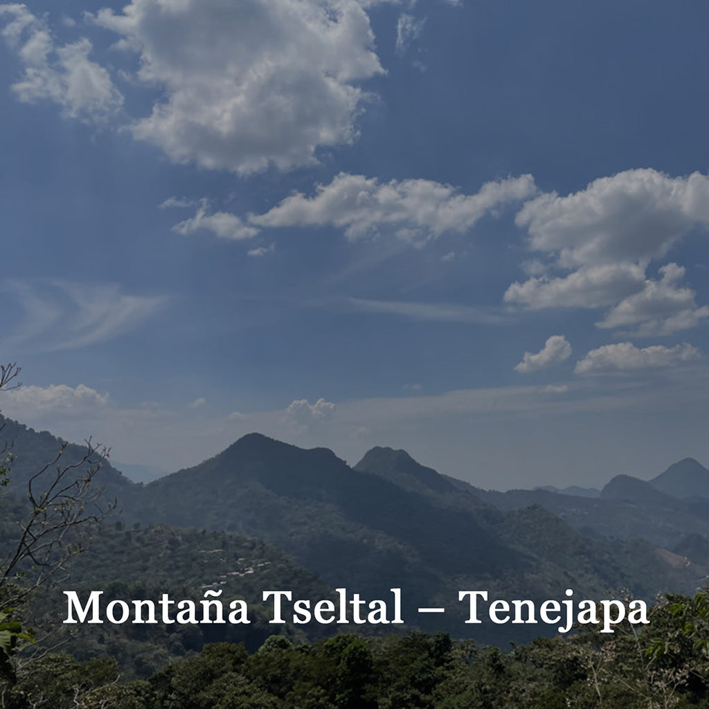 Montaña Tseltal – Tenejapa