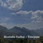 Montaña Tseltal – Tenejapa