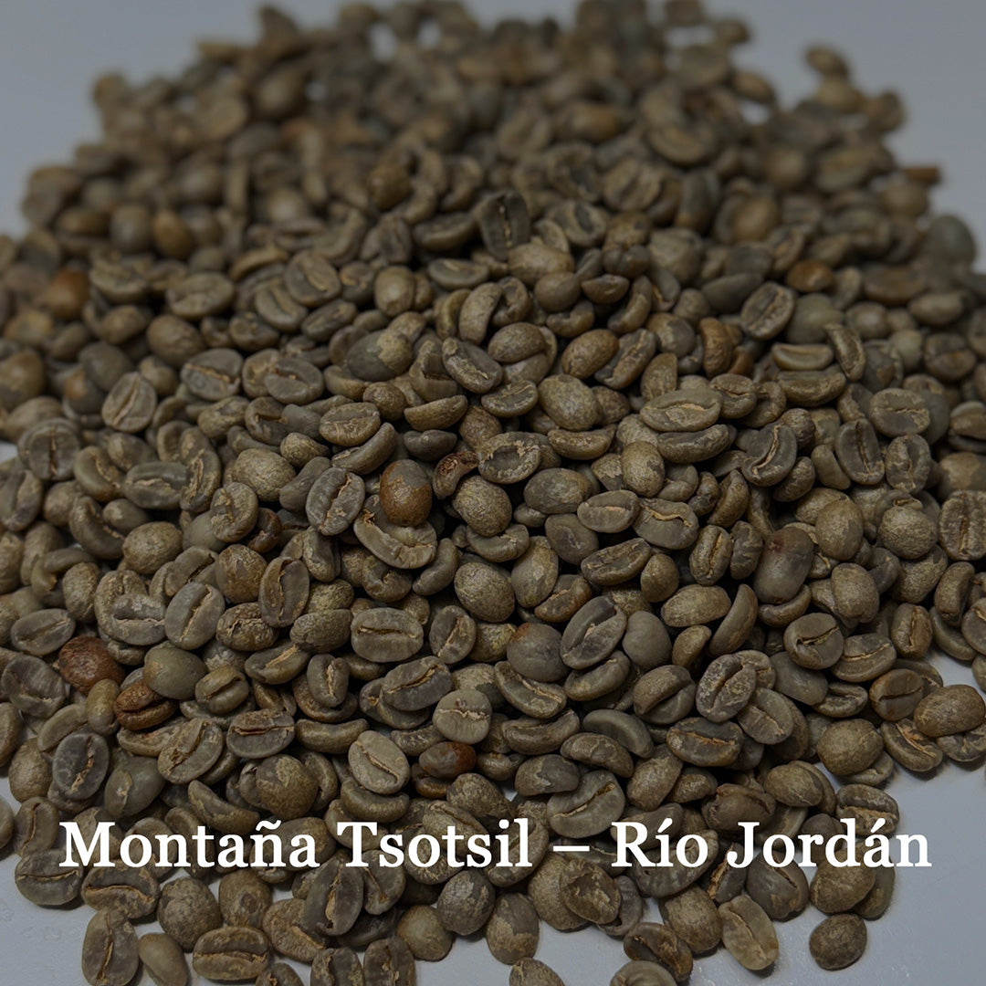 Montaña Tsotsil – Río Jordan