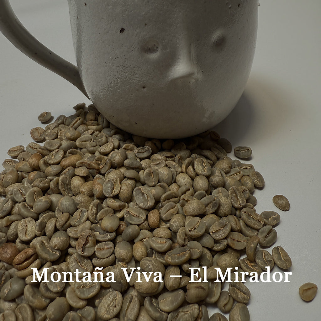 Montaña Viva – El Mirador
