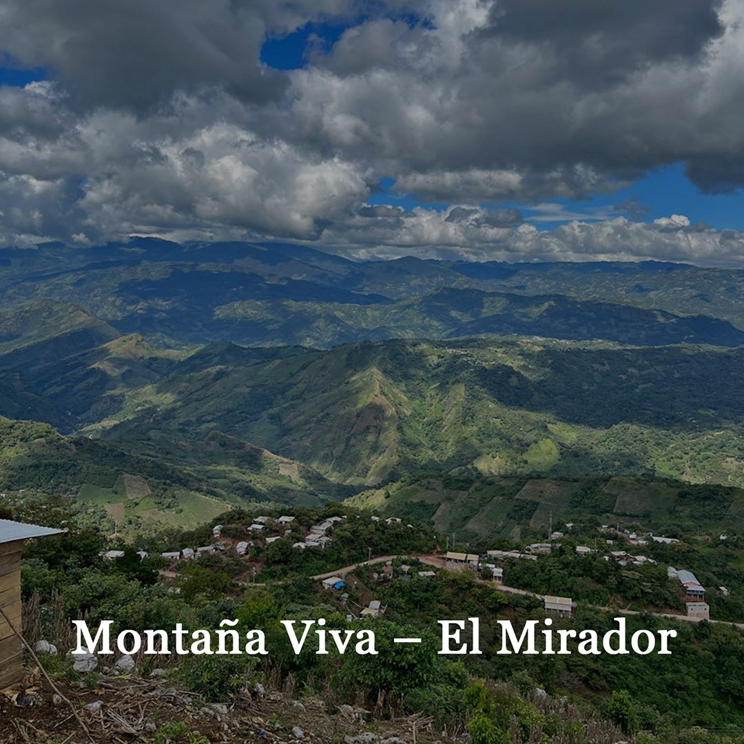 Montaña Viva – El Mirador
