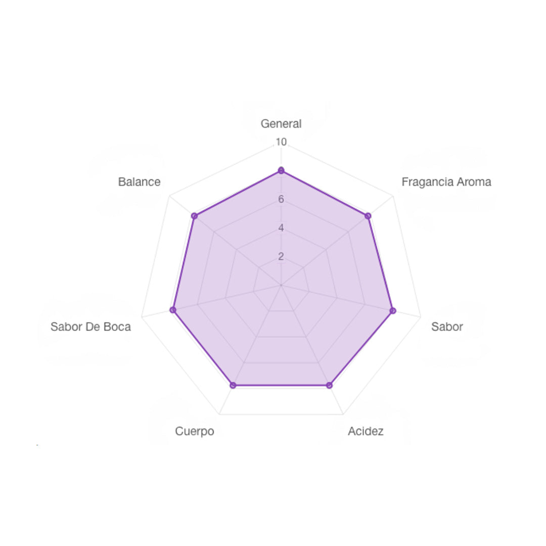 Montaña Tseltal – Tenejapa